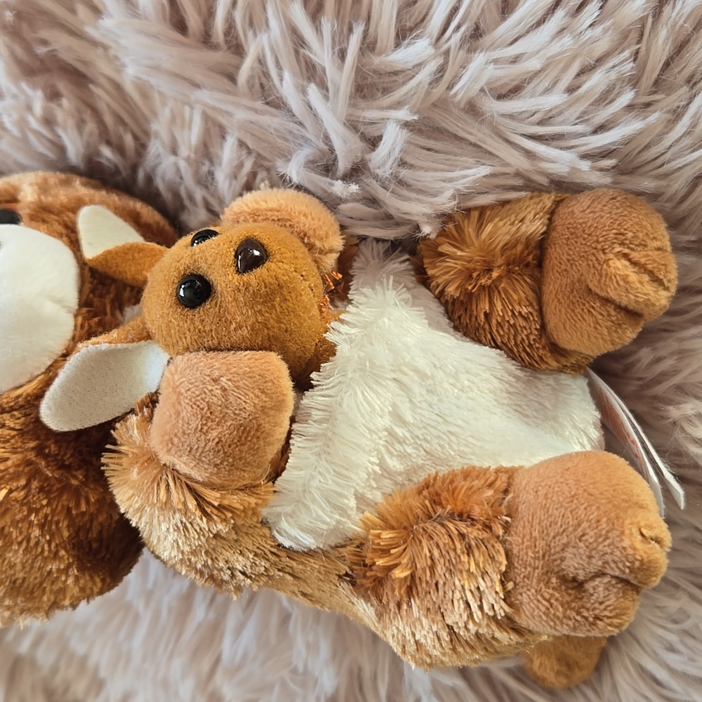 NWT KLIPPER KANGAROO AND ROO JOEY plush stuffed toy 6 in TY collectible - Picture 3 of 7